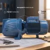 Pedrollo JSWm 2C + 4 év garancia