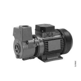 Grundfos PFBasic 2-50 1x220-240V 50Hz